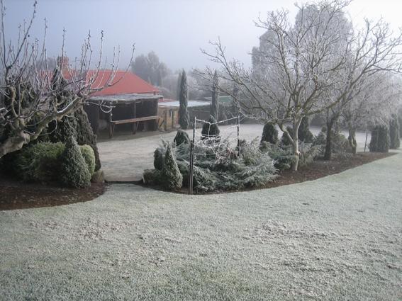 Vineyard Cottage Bnb Gumeracha Zewnętrze zdjęcie
